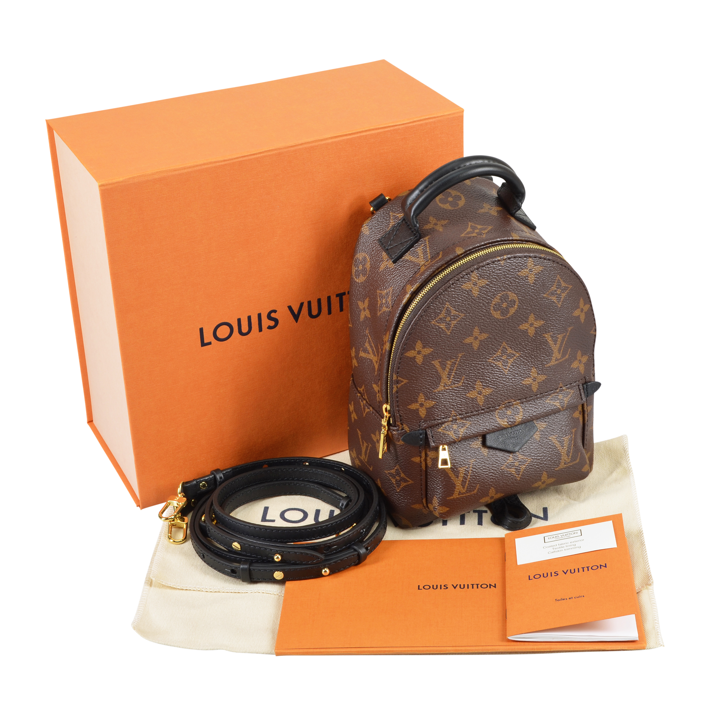 NEW *** Louis Vuitton Palm Springs Mini backpack - authentic
